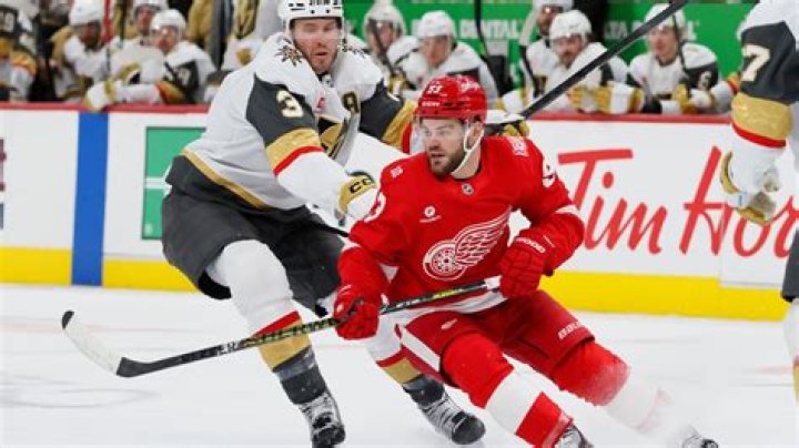 Brayden McNabb Biography, Age, Height, Wife, Net Worth, Family