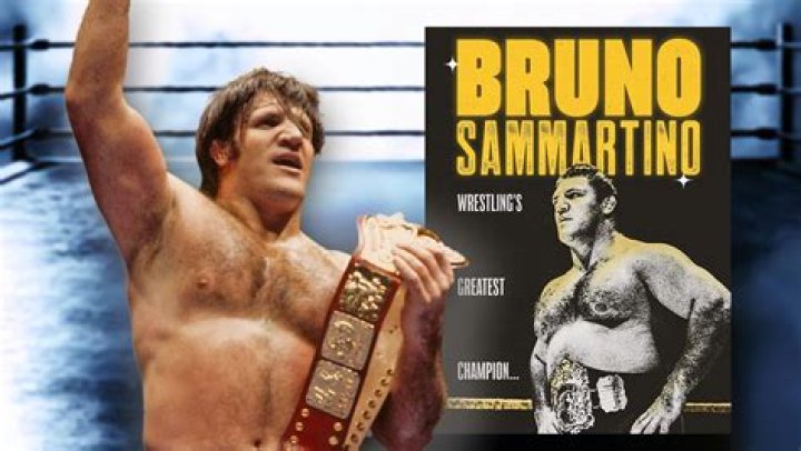 Bruno Sammartino Biography, Age, Height, Wife, Net Worth, Family