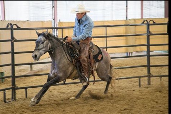 Craig Cameron (horse trainer) Biography, Age, Height, Wife, Net Worth and Family