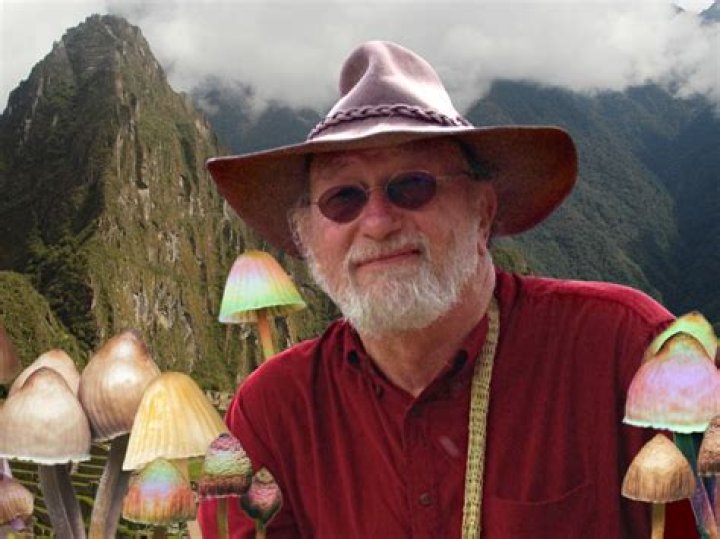 Dennis McKenna Biography, Age, Height, Wife, Net Worth, Family