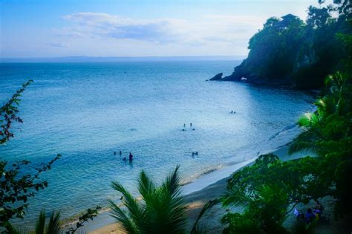 Gary Donaldson Biography, Age, Height, Wife, Net Worth, Family