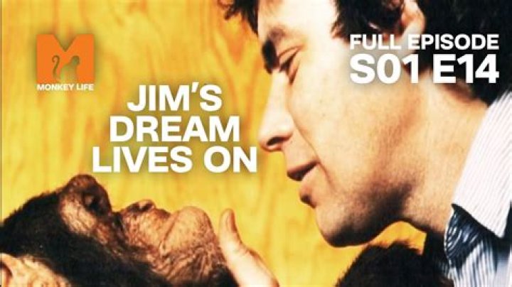 Jim Cronin Biography, Age, Height, Wife, Net Worth, Family