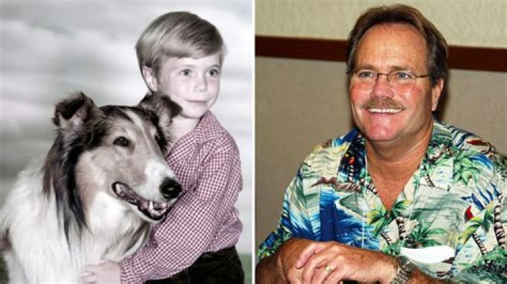 Jon Provost Biography, Age, Height, Wife, Net Worth, Family