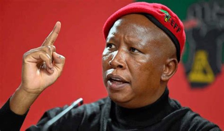 Julius Malema Biography, Age, Height, Wife, Net Worth, Family