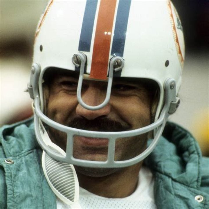Larry Csonka biografía, edad, altura, esposo, net worth, familia