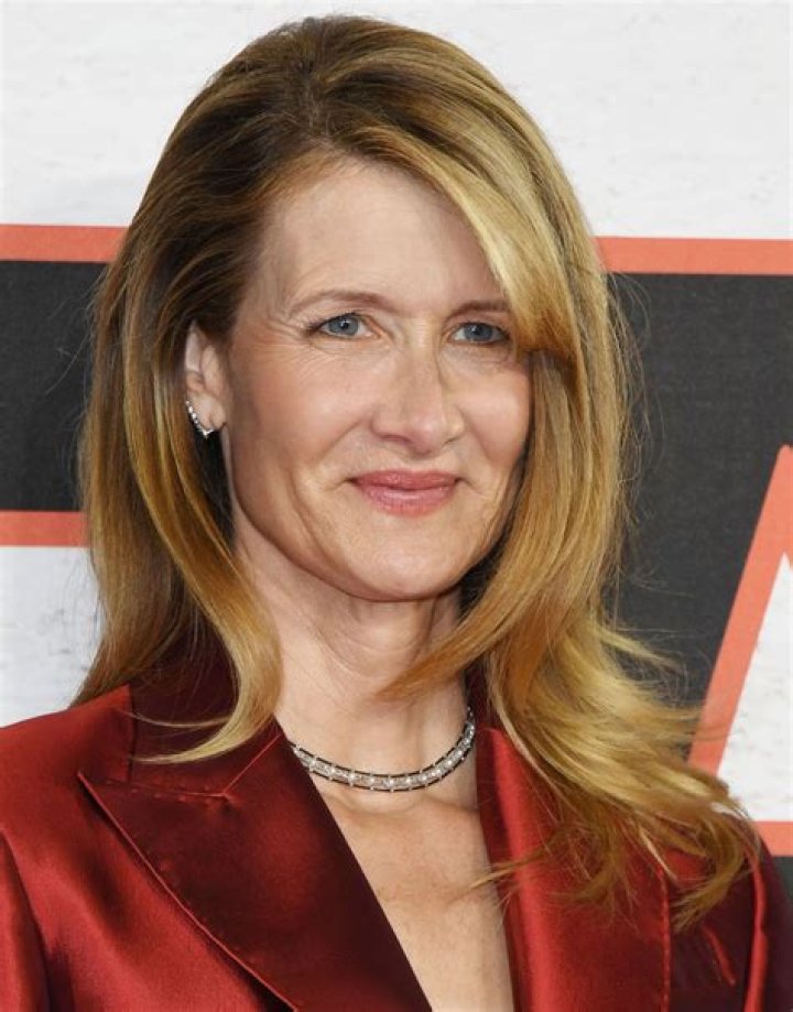 Laura Dern Biography, Age, Height, Husband, Net Worth, Family