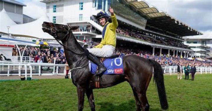 Michael O'Sullivan Biography, Age, Height, Wife, Net Worth, Family