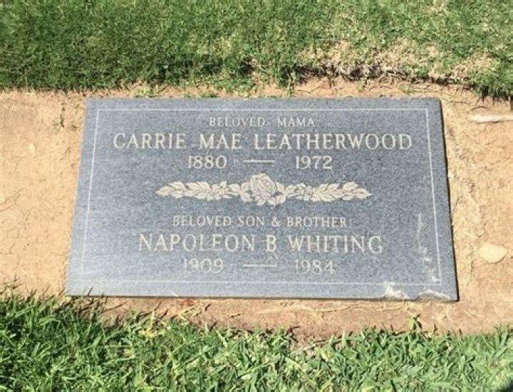 Napoleon Whiting Biography, Age, Height, Wife, Net Worth, Family