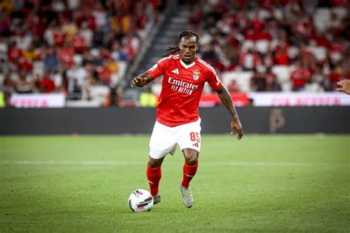 Renato Sanches Biography, Age, Height, Wife, Net Worth, Family