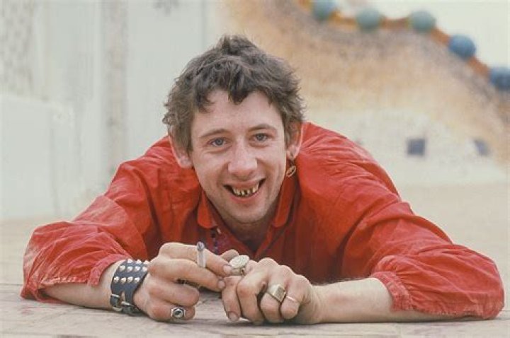 Shane MacGowan Biography, Age, Height, Wife, Net Worth, Family