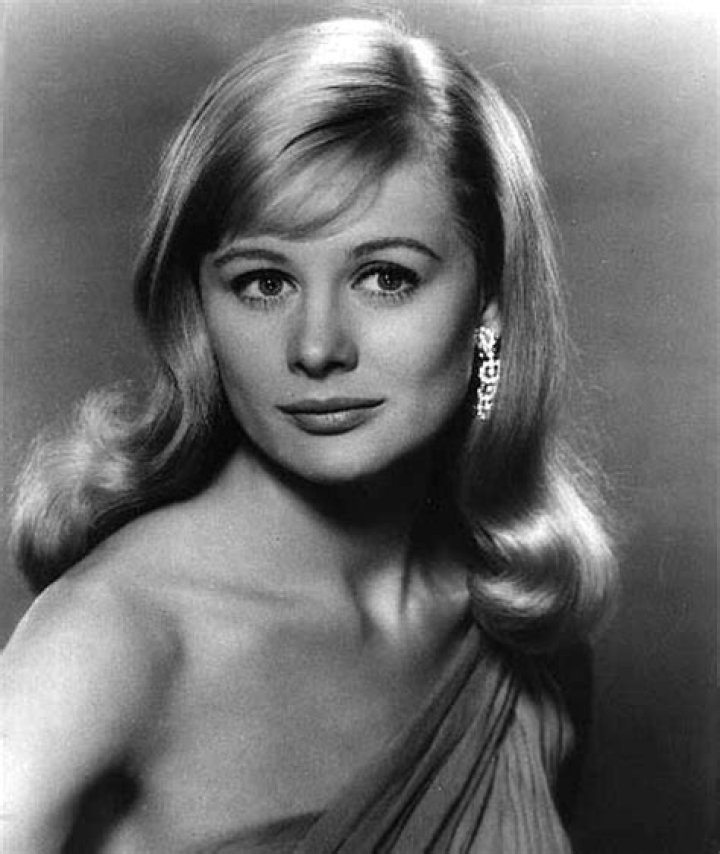 Shirley Knight biografía, edad, altura, esposa, net worth, familia